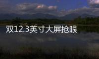 雙12.3英寸大屏搶眼 紅旗HS5多媒體系統體驗