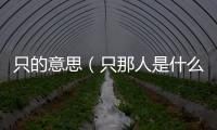 只的意思（只那人是什么意思）