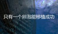 只有一個卵泡能移植成功嗎？別擔心!過來人告訴你好孕并不難