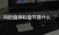 叫的音序和音節(jié)是什么  叫的音序和音節(jié)是啥