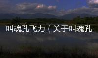 叫魂孔飛力（關于叫魂孔飛力的基本情況說明介紹）