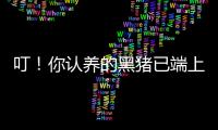 叮！你認養的黑豬已端上餐桌，快來品嘗！
