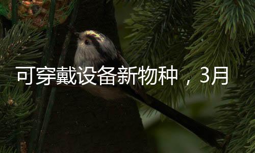 可穿戴設備新物種，3月即將開售的AI Pin會帶來哪些機會？