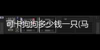 可卡狗狗多少錢一只(馬爾泰狗狗多少錢一只)