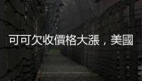 可可欠收價(jià)格大漲，美國(guó)企業(yè)打算推替代材料解決巧克力危機(jī)
