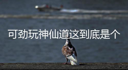 可勁玩神仙道這到底是個什么梗?