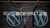 可以給貓吃蝦皮嗎？寵物貓可以吃蝦皮嗎