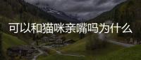 可以和貓咪親嘴嗎為什么(可以跟貓咪親嘴嗎)