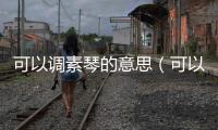 可以調素琴的意思（可以調素琴的以）