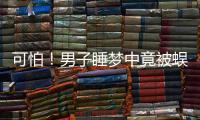 可怕！男子睡夢中竟被蜈蚣咬傷