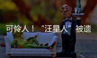 可憐人！“汪星人”被遺棄路邊