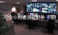 可憐小狗被丟在野外“等死”，主人卻又說出地址，被救已是5天后
