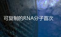 可復制的RNA分子首次創(chuàng)造出來了：生命的起源是什么可能有線索了