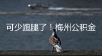 可少跑腿了！梅州公積金服務再升級，授權即可省內查詢繳存流水