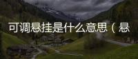 可調懸掛是什么意思（懸掛是什么意思）