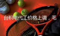 臺積電代工價格上調(diào)，毛利率預(yù)期攀升