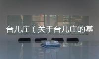 臺(tái)兒莊（關(guān)于臺(tái)兒莊的基本情況說明介紹）