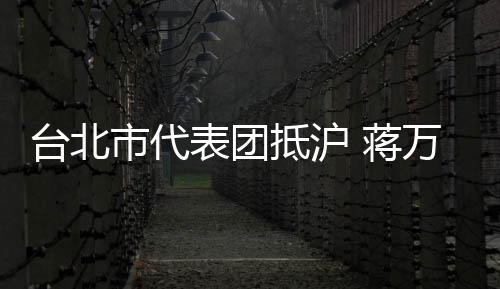 臺北市代表團抵滬 蔣萬安對洋山港“印象深刻”