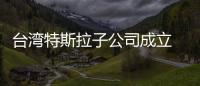 臺灣特斯拉子公司成立 將于年底開賣