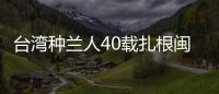臺灣種蘭人40載扎根閩南：帶徒授藝 造福花農(nóng)