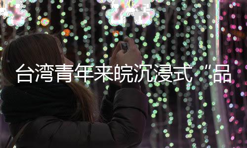 臺灣青年來皖沉浸式“品味”科技與文化“大餐”