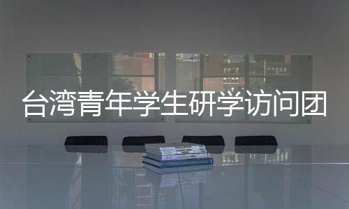 臺灣青年學生研學訪問團到古城泉州訪學