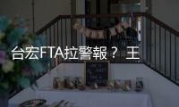 臺宏FTA拉警報？ 王美花：宏國出口至臺灣貿易額年達1.2億美金