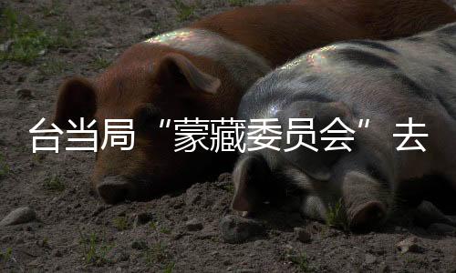 臺當(dāng)局“蒙藏委員會”去或留？蔡英文表姐表態(tài)