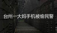 臺(tái)州一大媽手機(jī)被偷民警破案抓住嫌疑人