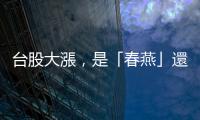 臺(tái)股大漲，是「春燕」還是「泡沫」？｜天下雜誌