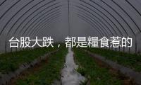 臺股大跌，都是糧食惹的禍｜天下雜誌