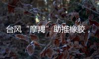 臺風“摩羯”助推橡膠，還會繼續上行嗎