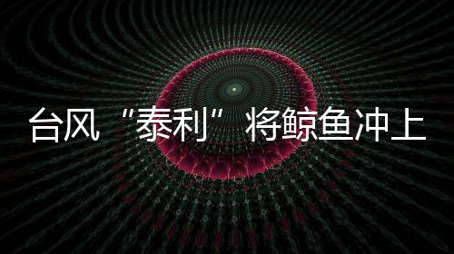 臺風“泰利”將鯨魚沖上岸？官方回應：未收到相關情況反饋