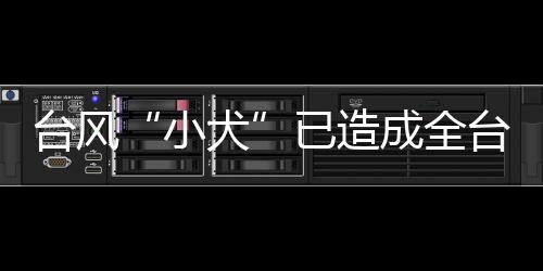 臺風“小犬”已造成全臺災情1700多起約190人受傷