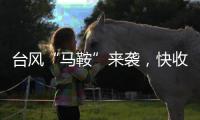 臺風(fēng)“馬鞍”來襲，快收下這份臺風(fēng)防范指南