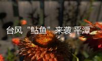 臺風“鲇魚”來襲 平潭氣象臺發布暴雨黃色預警