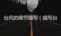 臺風的細節描寫（描寫臺風的場景）