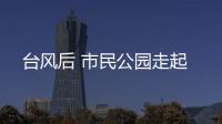 臺風(fēng)后 市民公園走起