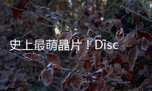 史上最萌晶片！Disco 花一年刻「熊本熊晶圓」，上百隻熊本熊可愛爆擊