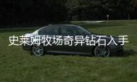 史萊姆牧場奇異鉆石入手方法和技巧說明 奇異鉆石在哪里