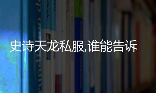 史詩天龍私服,誰能告訴我，在哪里能找到好玩的天龍私服