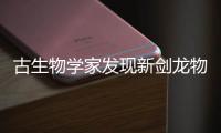 古生物學家發現新劍龍物種