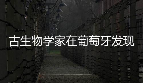 古生物學家在葡萄牙發現翼龍新物種