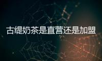 古緹奶茶是直營還是加盟？古緹加盟模式