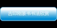 古印剛篆書書法欣賞