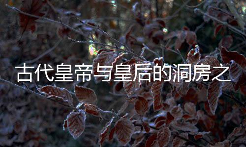 古代皇帝與皇后的洞房之夜