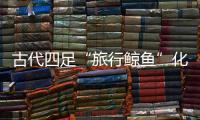 古代四足“旅行鯨魚”化石現(xiàn)身秘魯