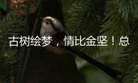 古樹繪夢，情比金堅！總臺七夕特別節目如約而至