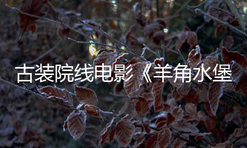 古裝院線電影《羊角水堡》即將和大家見面