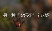 另一種“安樂死”？這舒緩治療究竟是違背倫理還是人性關懷？